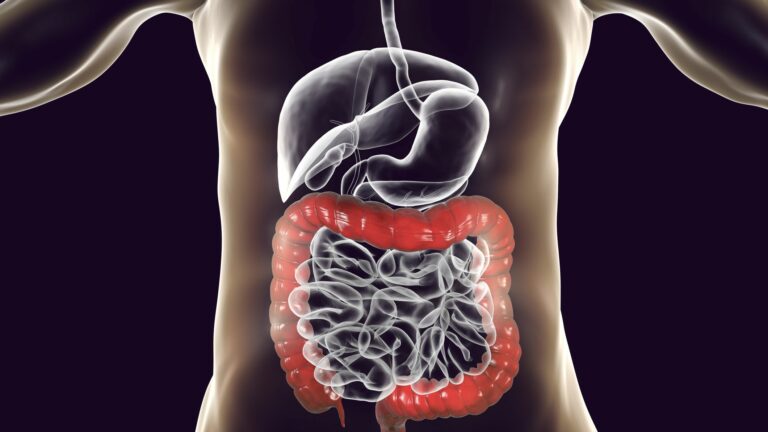 Functional testing, stool testing, SIBO breath test, SIBO, IMO, IBS, IBD, gut health, microbiome, good gut bacteria, bad gut bacteria, large intestine, small intestine
