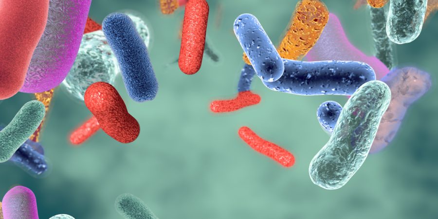 Gut healthy bacteria 3d illustration.
